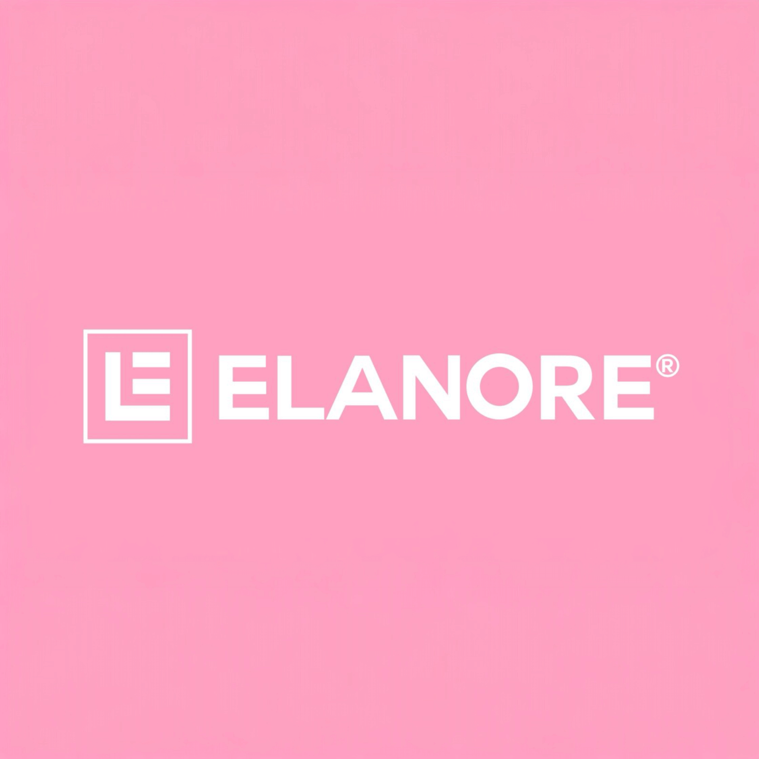 ELANORE Logo – PMU Perfektionstraining 1:1 Brandingbild