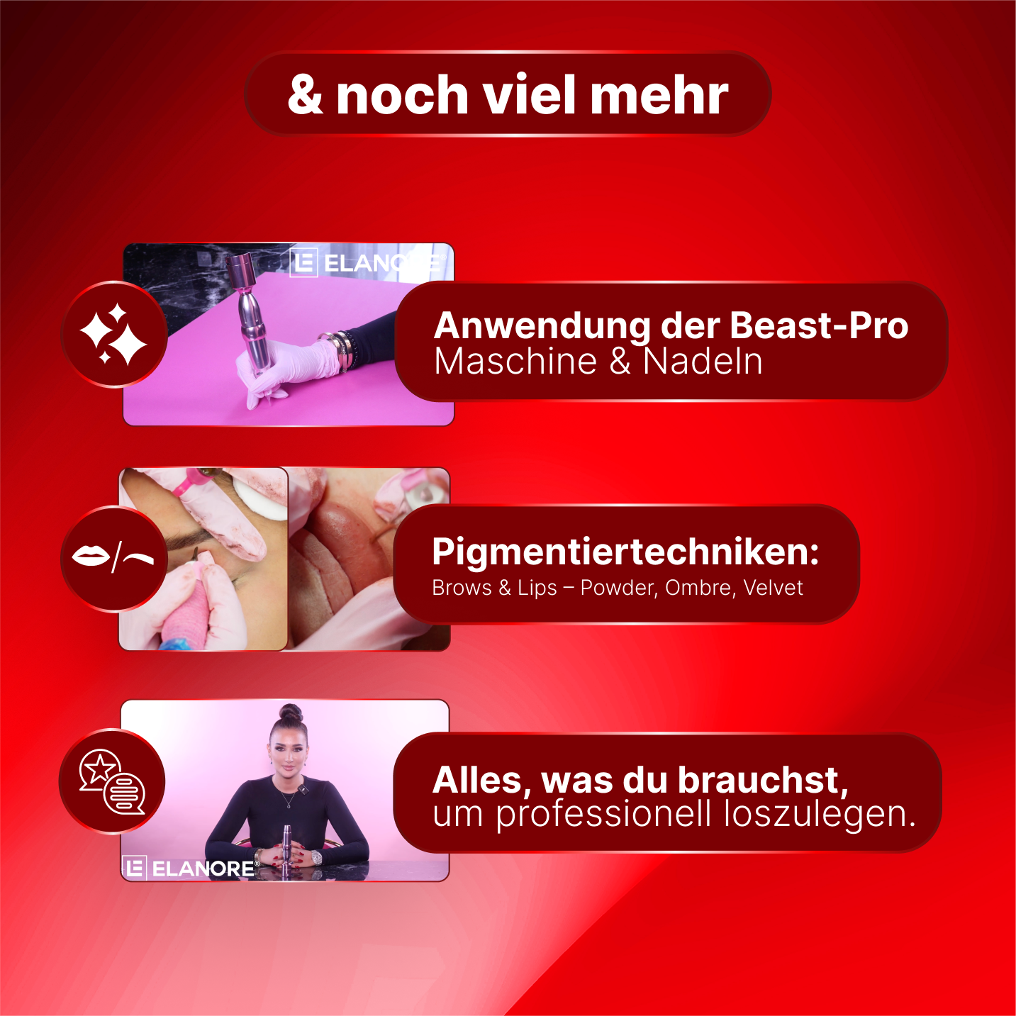 Kombi Online-Schulung - 4 in 1 Brows & Lips - By Elanore Beauty