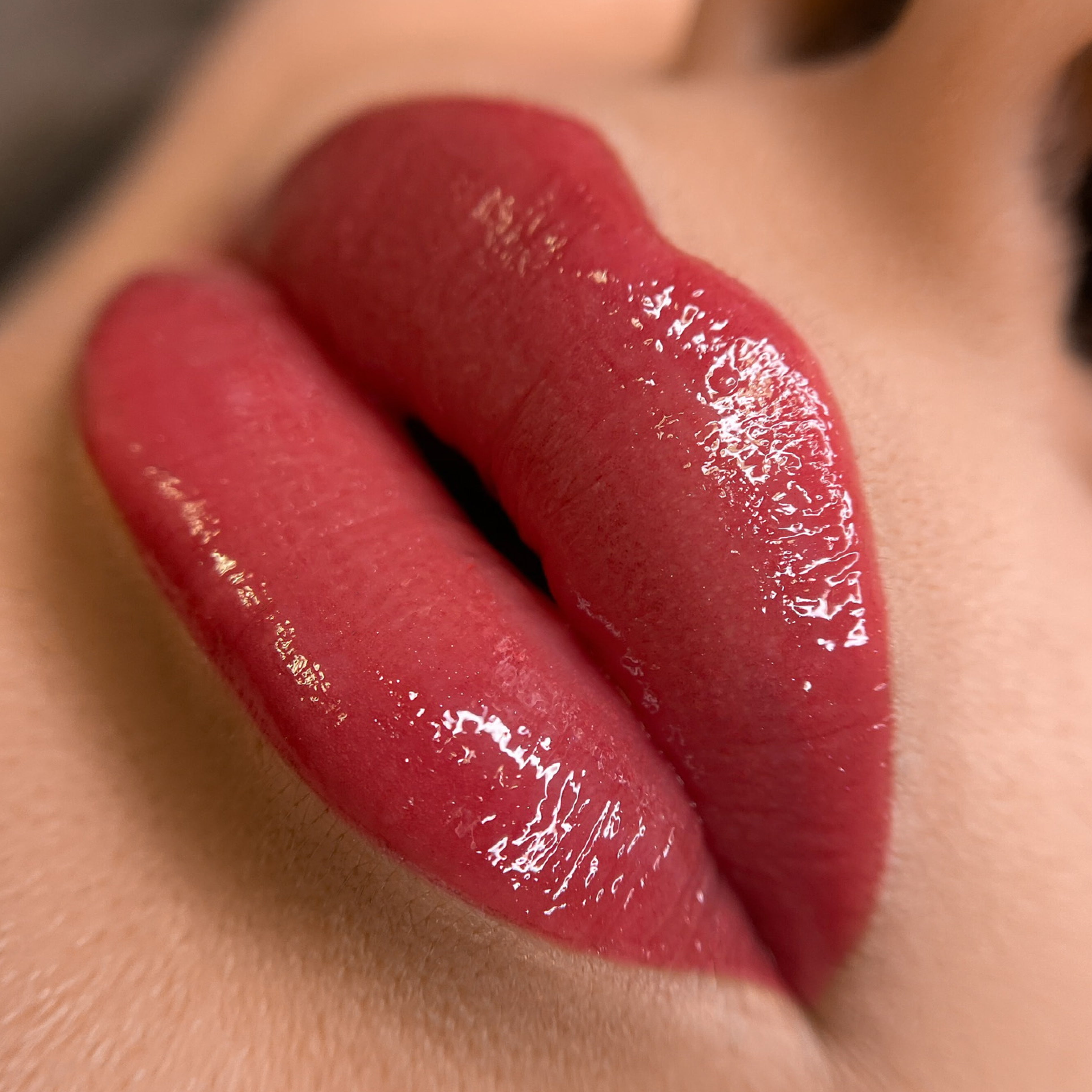 DELUXE HYBRID Pigment Lips - Fake Love