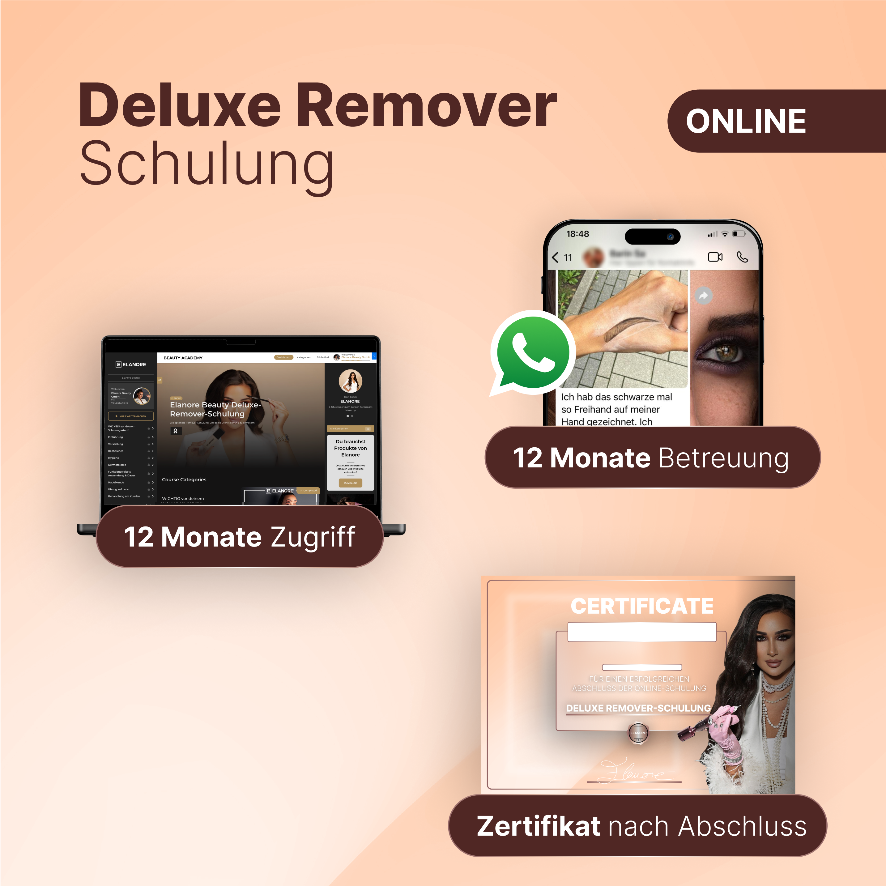 Deluxe Remover Schulung